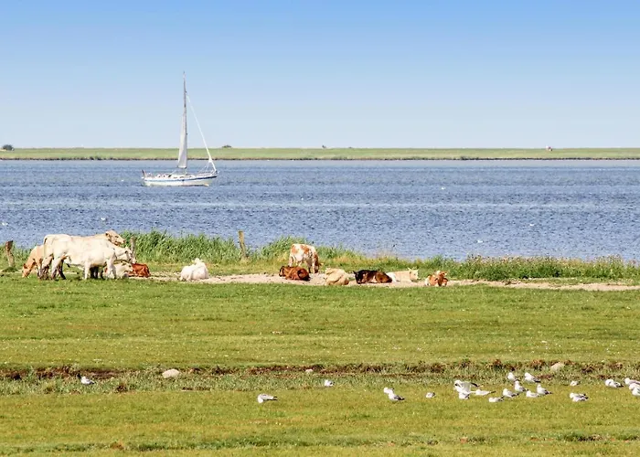 Heimathafen Olpenitz